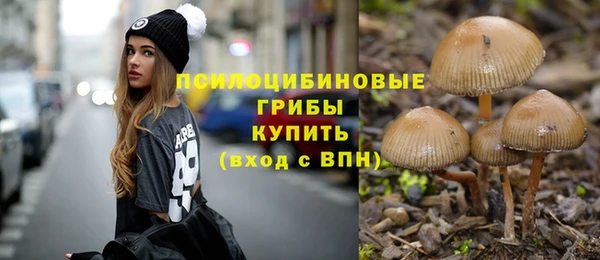ешки Зеленодольск