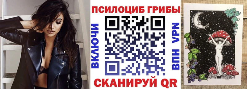 Псилоцибиновые грибы мицелий  Купить где  Белогорск 